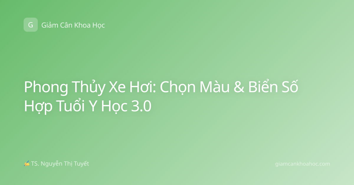 Phong Thủy Xe Hơi: Chọn Màu & Biển Số Hợp Tuổi Y Học 3.0