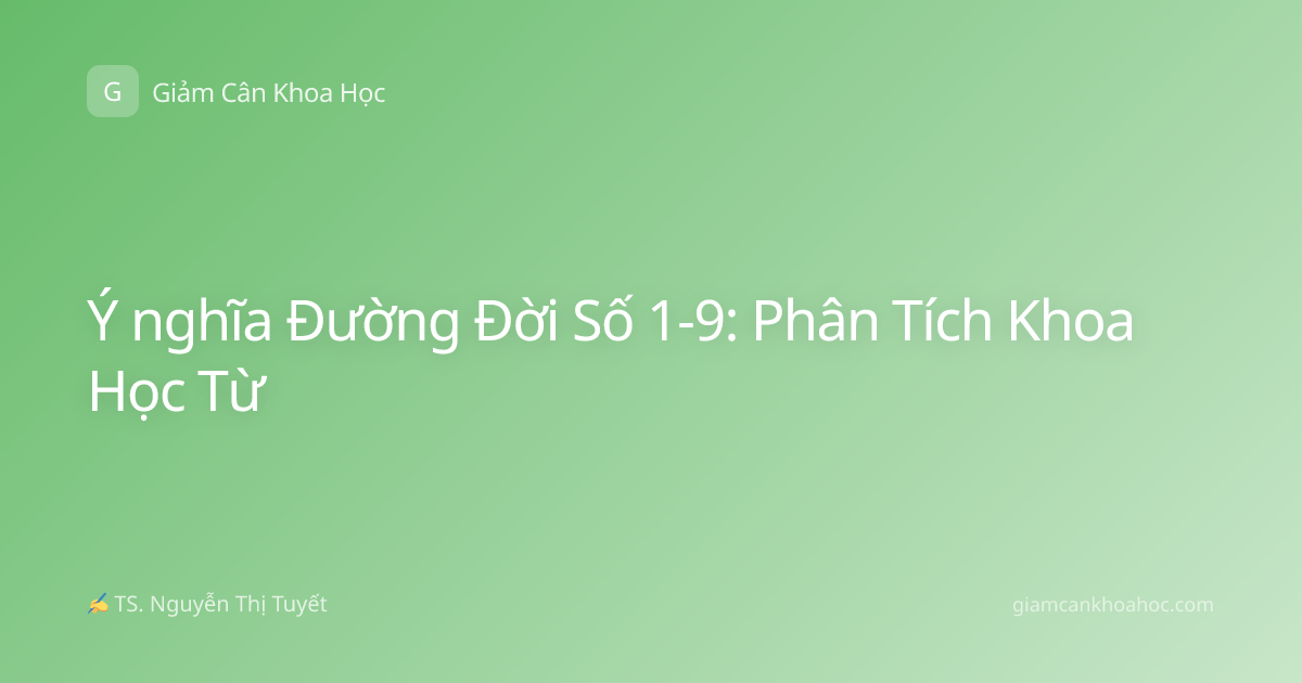 Ý nghĩa Đường Đời Số 1-9: Phân Tích Khoa Học Từ